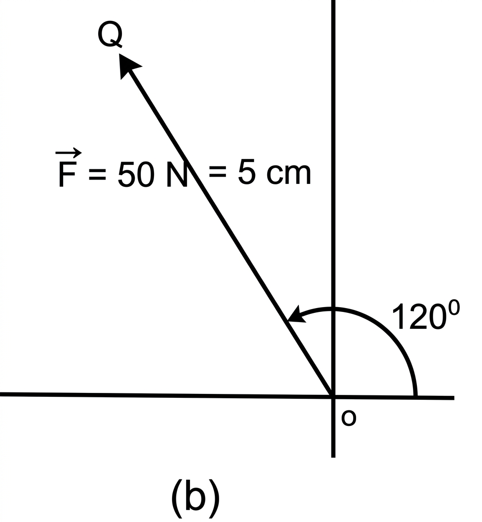 Vector representation: 50 N at 120 degrees