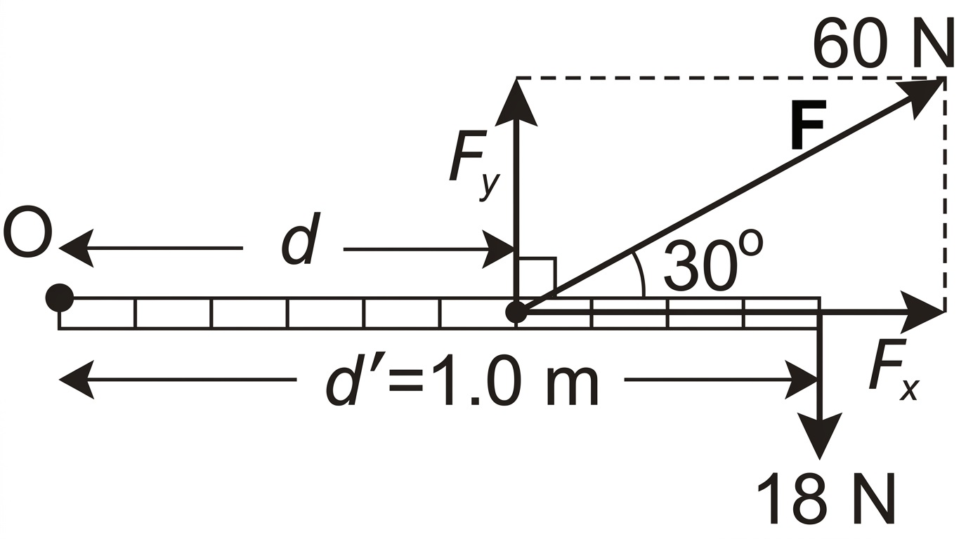 Diagram showing forces acting on a pinned metre stick