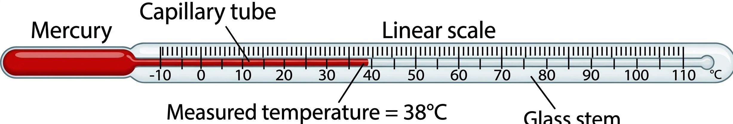 Diagram of a mercury-in-glass thermometer showing bulb, capillary tube, and scale
