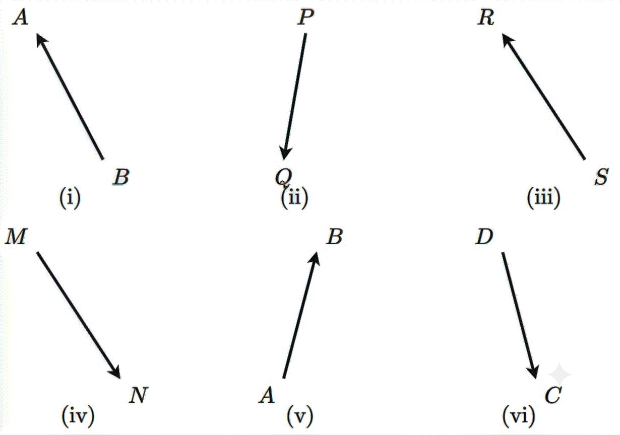 All 6 vector diagrams showing tails and tips: (i) Tail B, Tip A; (ii) Tail P, Tip Q; (iii) Tail S, Tip R; (iv) Tail M, Tip N; (v) Tail A, Tip B; (vi) Tail D, Tip C